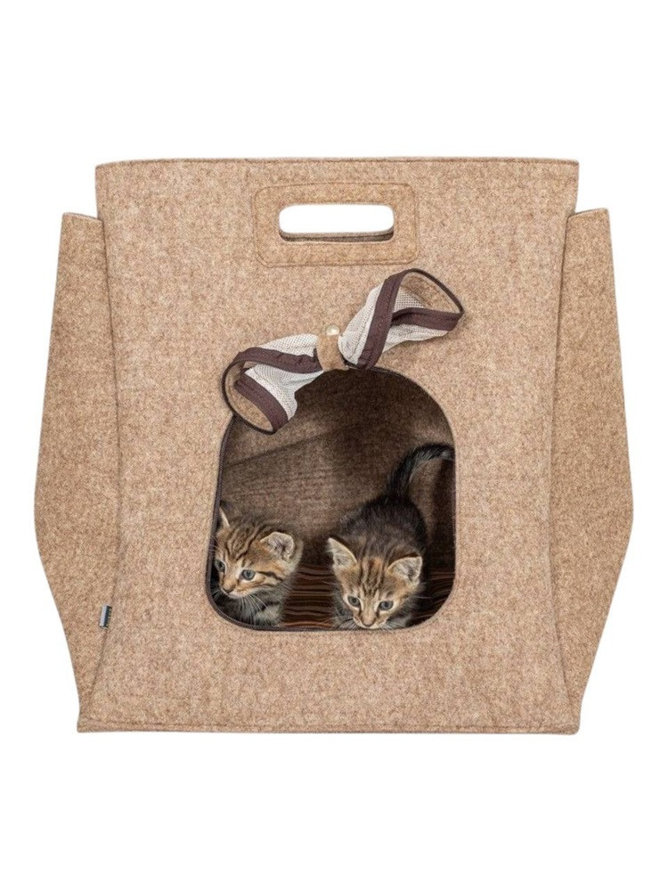 Cat house / transporter