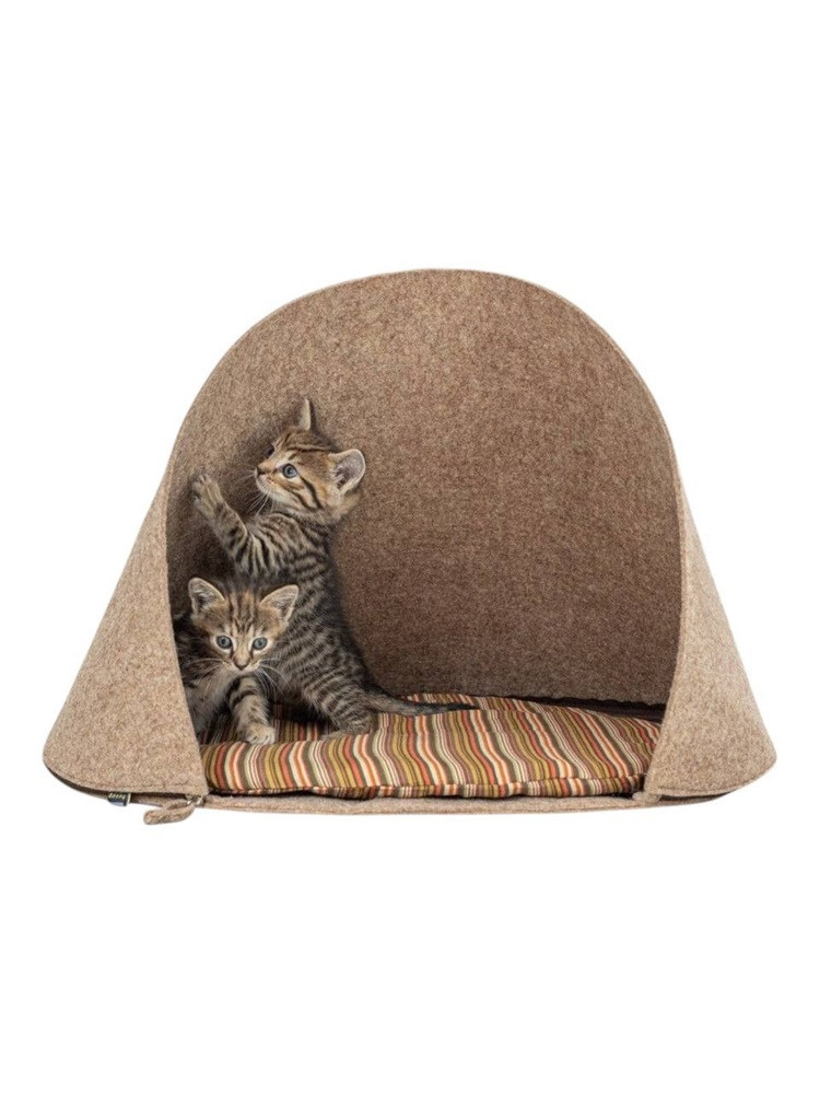Cat house
