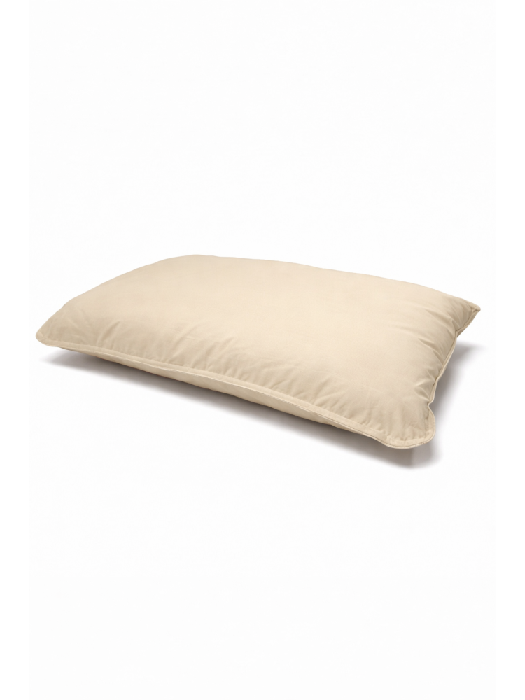 Anti-allergy child pillow